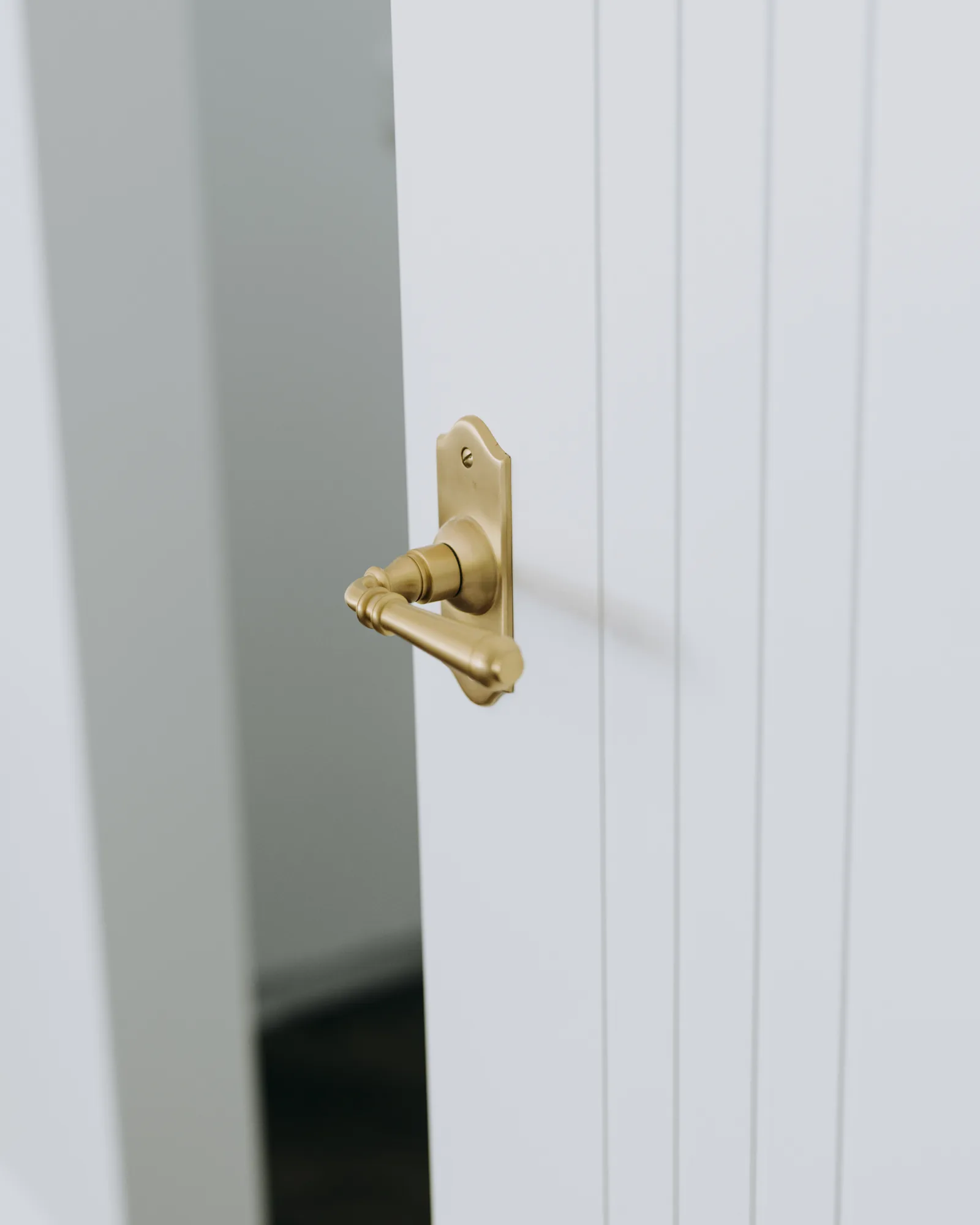 Aged brass door hardware on a panelled door